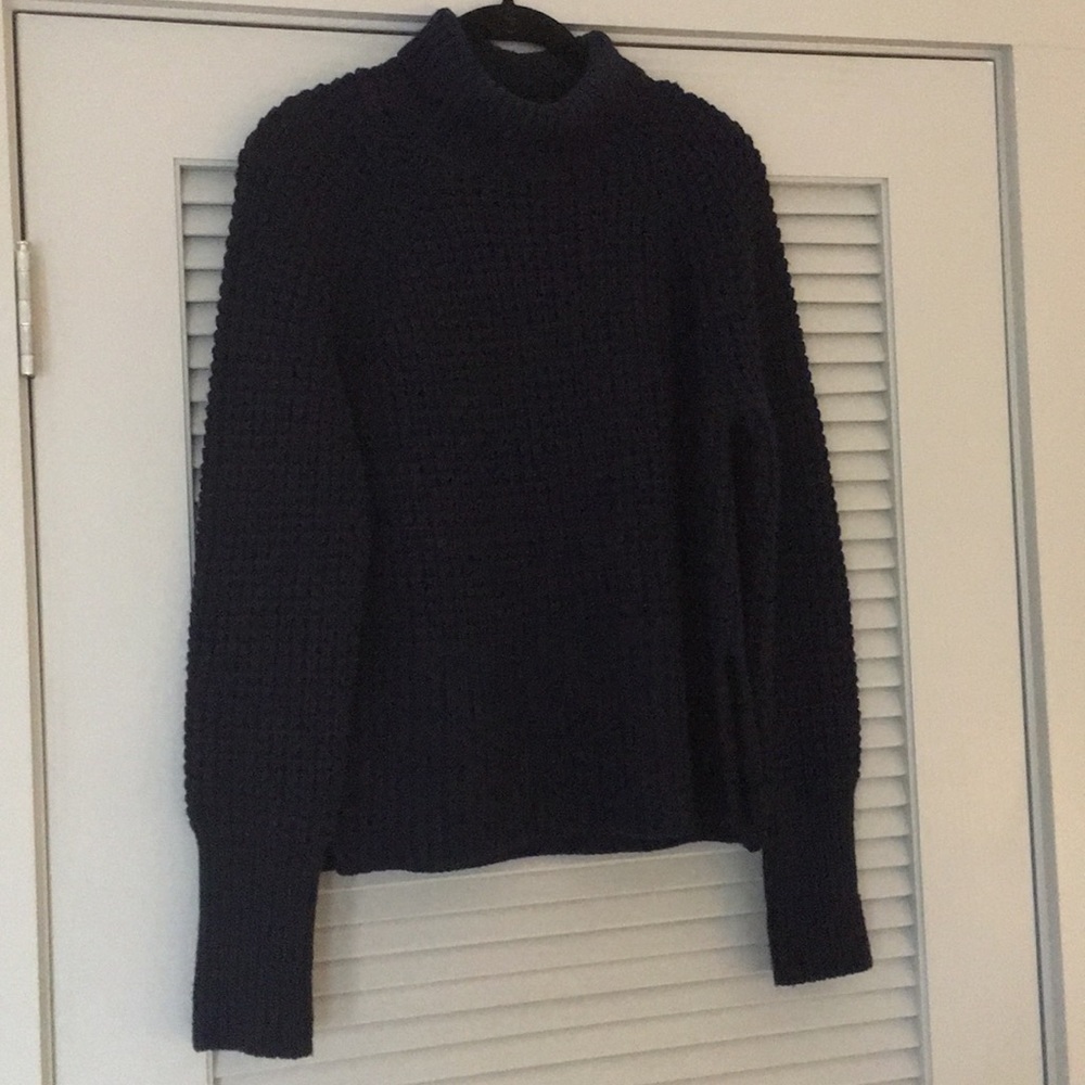 Everlane Navy Blue Turtleneck Sweater